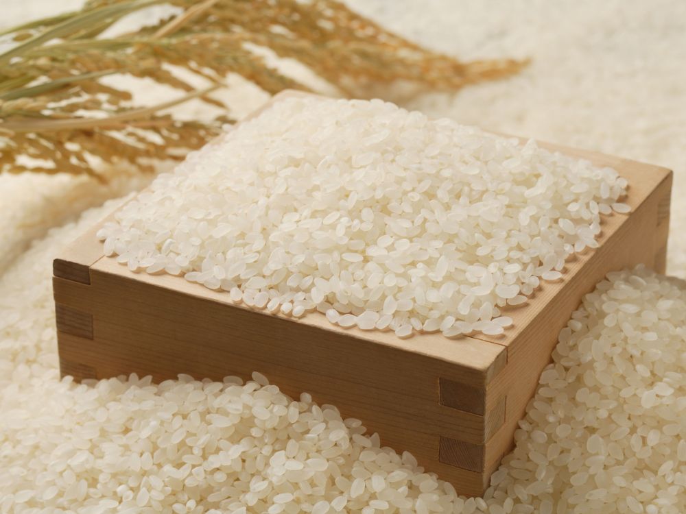 Rice
