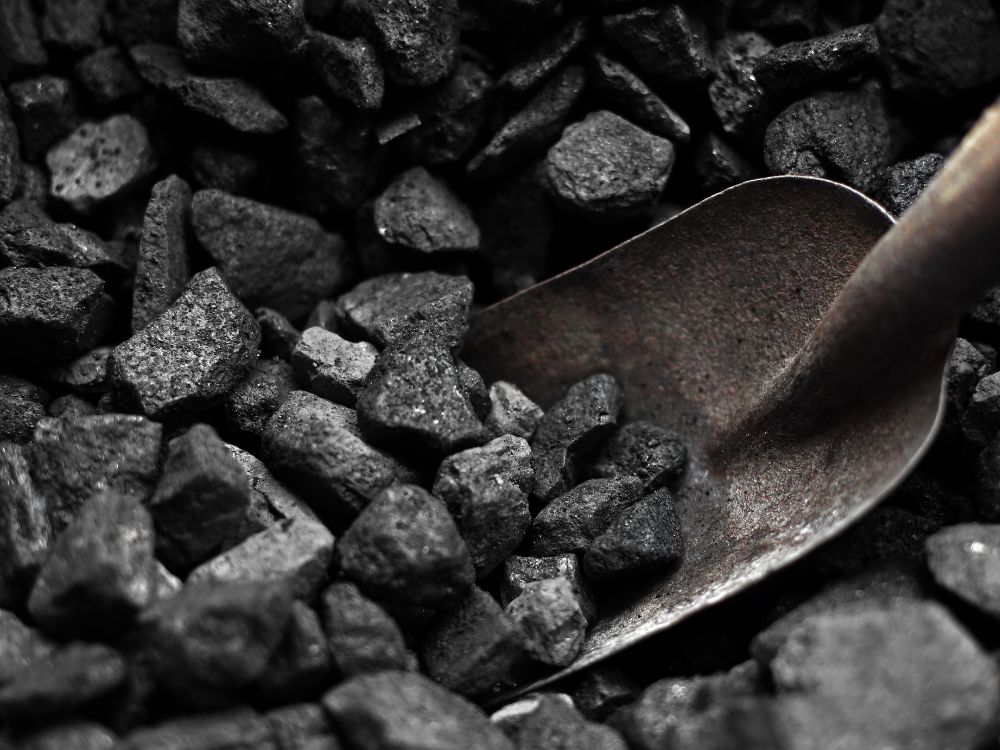 Coal