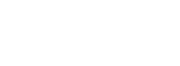 VISION FUSION